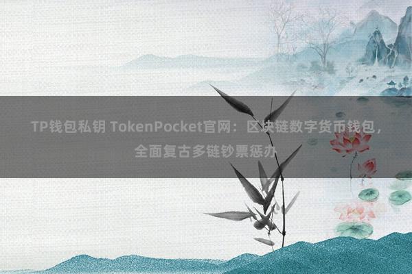 TP钱包私钥 TokenPocket官网：区块链数字货币钱包，全面复古多链钞票惩办