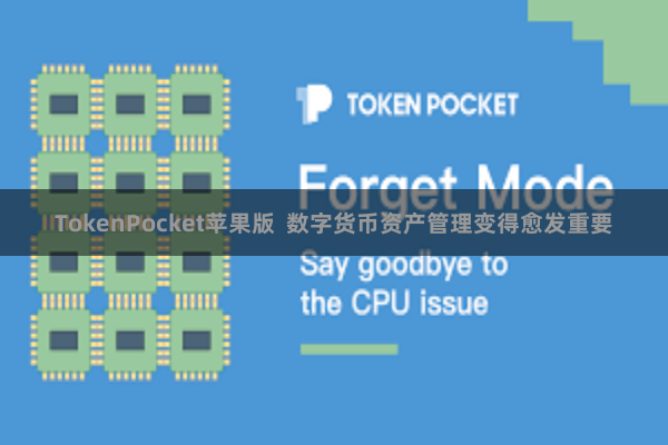 TokenPocket苹果版  数字货币资产管理变得愈发重要