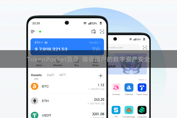 TokenPocket登录  确保用户的数字资产安全